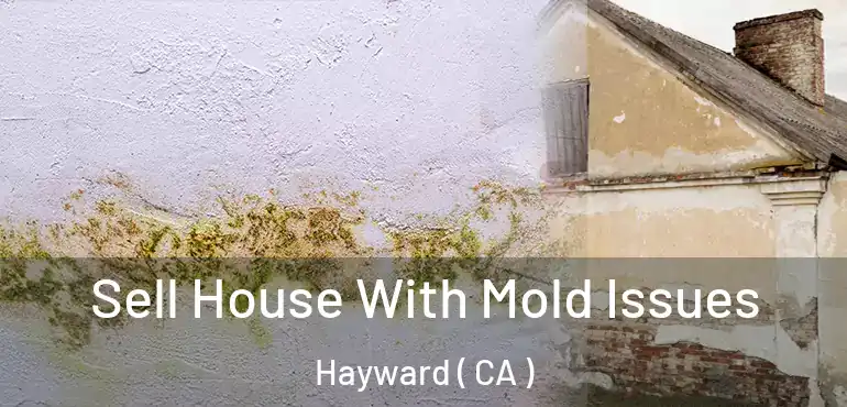  Sell House With Mold Issues Hayward ( CA )